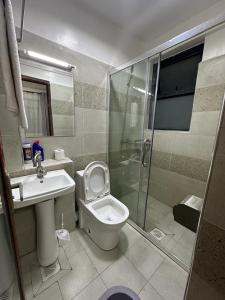 a bathroom with a shower and a toilet and a sink at Home Croft Nairobi in Nairobi