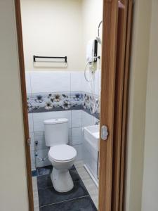 ein Badezimmer mit einem weißen WC und einem Waschbecken in der Unterkunft Roomstay Villa Tok Wan in Kuantan