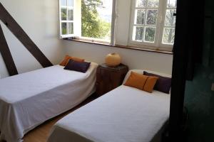 zwei Betten in einem Zimmer mit zwei Fenstern in der Unterkunft Grande maison quercynoise avec piscine in Figeac + 46 Fotos