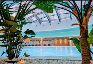 una piscina con una palmera en un edificio en Hanza Tower Gold 22nd Floor Pool & Sauna & Jacuzzi & SPA, en Szczecin