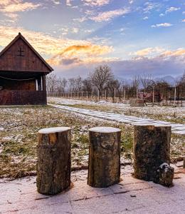 a group of tree stumps in the middle of a field at Little Bear Lodge in Sibiu