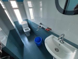 a bathroom with a sink and a toilet and a mirror at ZORBA HOMESTAY DARJEELING in Darjeeling
