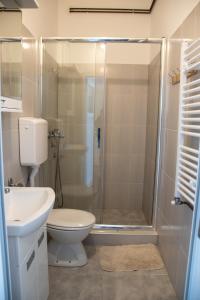 a bathroom with a shower and a toilet and a sink at Apartments Kuca Aleksic in Niš +67 photos