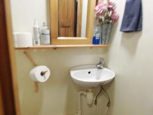 ein Badezimmer mit einem Waschbecken, einem Spiegel und Blumen in der Unterkunft Lili’s Holiday House in Otepää