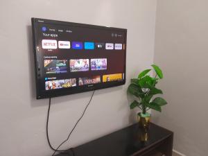a flat screen tv hanging on a wall with a plant at Homestay Cempaka Cottage Kuantan in Kuantan