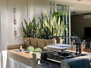 eine Küchenspüle mit Pflanzen im Hintergrund in der Unterkunft New Villa Deluxe , Golf Club, Punta Cala 208 in Nuevo Vallarta