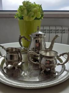 ein silbernes Tablett mit zwei Teekesseln und einer Blumenvase in der Unterkunft G & G Appartamento nuovo, moderno e grazioso. in Sannicandro Garganico + 15 Fotos