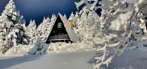 eine Hütte im Schnee mit schneebedeckten Bäumen in der Unterkunft Chata Čenkovice in Čenkovice