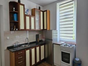 a kitchen with a sink and a stove top oven at Apartman Gračac in Gračac