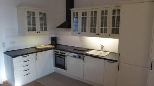 Η κουζίνα ή μικρή κουζίνα στο Gut-Rattelvitz-Parterre-B-hochwertig-Sauna-Kamin-eTankstelle-Spielscheune-15-000qm-Parkland