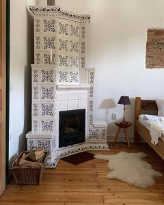 RichişuにあるAni GuestHouse Richisのリビングルーム(暖炉、ベッド付)