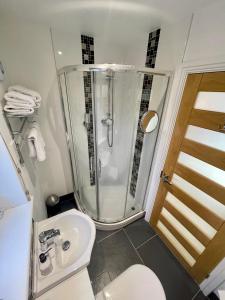 a bathroom with a shower and a toilet and a sink at Horsemanstone in Amroth