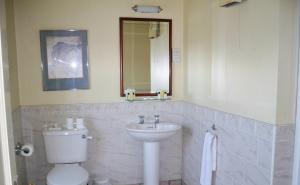 W łazience znajduje się umywalka, toaleta i lustro. w obiekcie Darnley Lodge Hotel w mieście Athboy