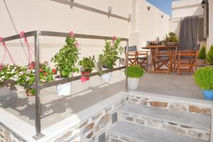 a group of potted plants on a patio at Ledio's house in Ermoupoli