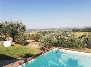 uma piscina com vista para as oliveiras em Vetulonia casa colonica con Pool Relax em Castiglione della Pescaia