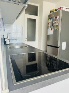 a kitchen with a sink and a refrigerator at Linden Alley Retreat Sarajevo with free parking in Sarajevo +20 photos