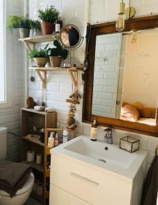 ein Badezimmer mit einem Waschbecken, einem Spiegel und einem WC in der Unterkunft c’est la vie… à Marseille in Marseille