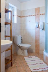 a bathroom with a toilet and a sink at Penzion V Koutě in Zlechov