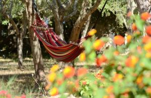 A garden outside Finca Katia