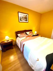 a bedroom with a large bed with yellow walls at Appartement proche Gare in Saint-Julien-en-Genevois