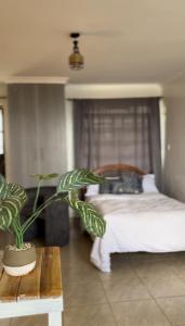 sypialnia z łóżkiem i doniczką w obiekcie Rooftop Studio Apartment - Mirema w mieście Nairobi