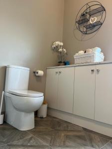 a bathroom with a white toilet in a room at Kingarrow Cottage in Omagh