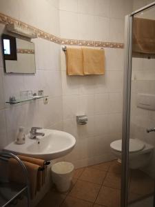 een badkamer met een wastafel en een toilet bij Landhaus am Brubbel in Wallenborn