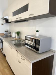 una cocina con microondas de acero inoxidable en una encimera en Apartment Olivia - Old Town, en Bratislava