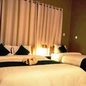 博卡拉安纳布尔纳峰生态村酒店的一间卧室设有两张床,窗户配有窗帘