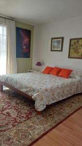 a bedroom with a large bed with red pillows at Chalet Anagato in Tegueste
