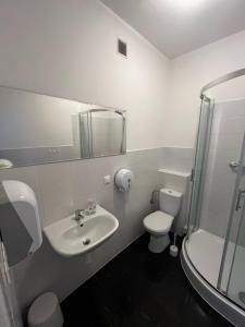 Un baño con lavabo, inodoro y ducha. en Hostel Demi, en Cracovia 41 fotos más