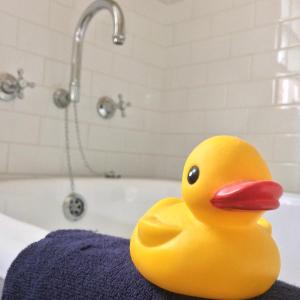 un pato amarillo de goma sentado encima de una bañera en Bundanoon Bijou Southern Highlands Accommodation, en Bundanoon