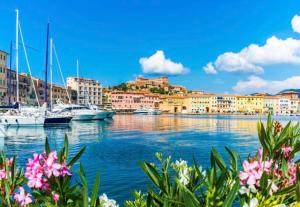 a view of a harbor with boats and buildings at Appartamento La Terrazza in Portoferraio