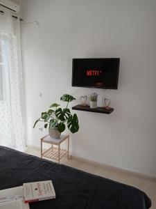 a tv on the wall in a room with a plant at Rose Apartments Mesonghi in Moraitika