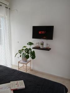 TV a/nebo společenská místnost v ubytování Rose Apartments Mesonghi