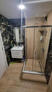 un bagno con doccia e lavandino di Alexander Home a Gotse Delchev