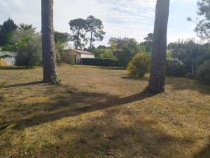 Gallery image of Petite maison à Biscarrosse - Plage in Biscarrosse