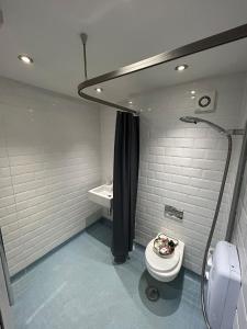 a bathroom with a shower and a toilet and a sink at HOME Hertford in Hertford