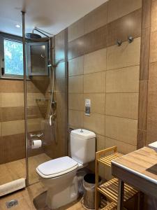łazienka z toaletą i prysznicem w obiekcie Villa Rena w mieście Vourvourou