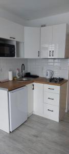Kuchnia lub aneks kuchenny w obiekcie Apartamenty Częstochowa