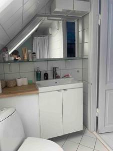Baño blanco con lavabo y aseo en Copenhagen Open Plan House in Hellerup en Hellerup