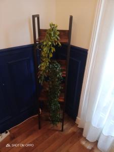Large family typical Parisian Appartment
