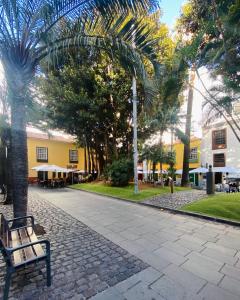 a park with a bench and palm trees and a building at Macaronesia Home in Santa Cruz de Tenerife