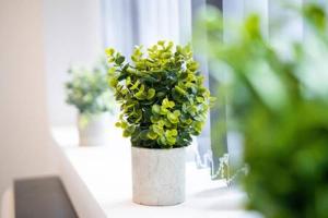 a plant in a white pot sitting on a window sill at Smart 1 Bed Apartment in Wolverhampton in Wolverhampton