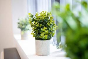 a plant in a white pot sitting on a window sill at Stylish 1 Bed Apartment in Wolverhampton in Wolverhampton