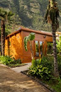 une cabane en bois avec un palmier en face de celle-ci dans l'établissement Garden bungalow, à São Vicente