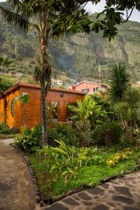une maison en bois avec un palmier et des plantes dans l'établissement Garden bungalow, à São Vicente