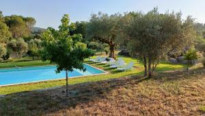 una imagen de una piscina con sillas y árboles en Quinta da Pedra Mija, en Santar
