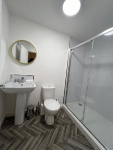 La salle de bains est pourvue de toilettes, d'un lavabo et d'une douche. dans l'établissement 7 Plants Yard, à Worksop