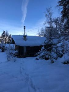 ein schneebedecktes Haus mit einem Baum davor in der Unterkunft Waldchalet Tulfes in Rinn